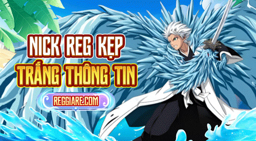 Acc Reg Nhiều Skin